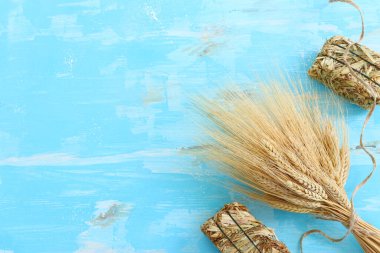 Mavi ahşap zemin üzerinde buğday mahsullerinin üst görüntüsü. Yahudi bayramının sembolleri - Shavuot