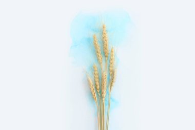 Artistik mürekkep arkaplanındaki güzel buğday ürünlerinin yaratıcı görüntüsü. Kopyalama alanı olan üst görünüm. Yahudi bayramının sembolleri - Shavuot