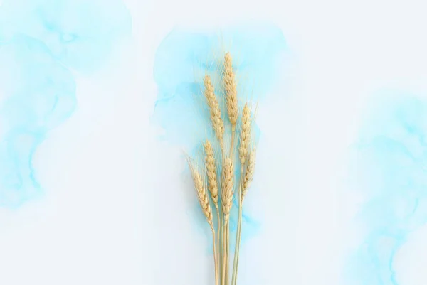 Artistik Mürekkep Arkaplanındaki Güzel Buğday Ürünlerinin Yaratıcı Görüntüsü Kopyalama Alanı — Stok fotoğraf