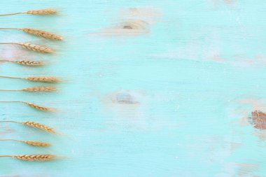 Mavi ahşap zemin üzerinde buğday mahsullerinin üst görüntüsü. Yahudi bayramının sembolleri - Shavuot