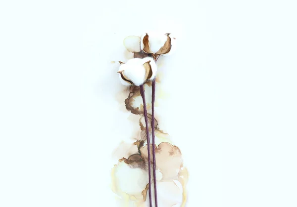 Δημιουργική Εικόνα Όμορφων Βαμβακερών Λουλουδιών Φόντο Καλλιτεχνικού Μελανιού — Φωτογραφία Αρχείου