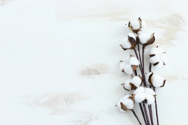 Image Créative Belles Fleurs Coton Sur Vieux Fond Blanc Bois — Photo