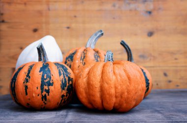 Eski ahşap masanın üzerinde farklı türde balkabakları.