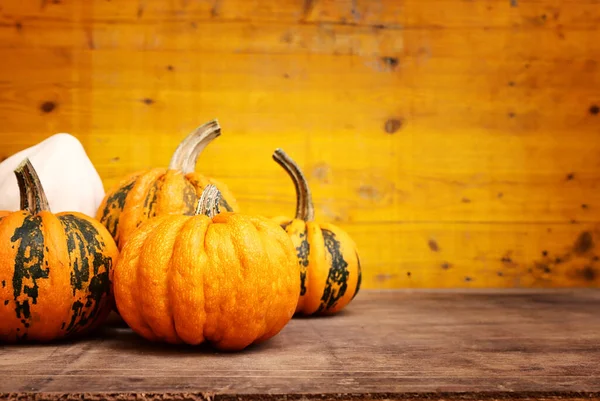 Verschillende Soorten Pompoenen Houten Oude Tafel — Stockfoto