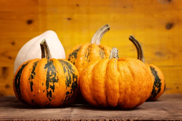 Différents Types Citrouilles Sur Une Vieille Table Bois — Photo