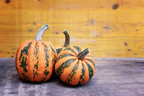 Différents Types Citrouilles Sur Une Vieille Table Bois — Photo