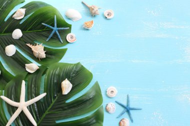 Mavi ahşap arka planda deniz kabukları olan tatil ve yaz konsepti. Üst görünüm düzlüğü