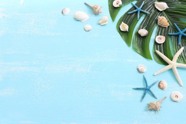 Mavi ahşap arka planda deniz kabukları olan tatil ve yaz konsepti. Üst görünüm düzlüğü
