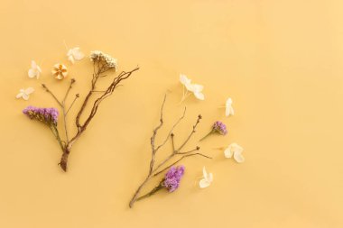 Pastel sarı arkaplanda çiçek bileşiminin üst görünümü. Düz yatıyordu.