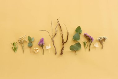 Pastel sarı arkaplanda çiçek bileşiminin üst görünümü. Düz yatıyordu.