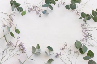 Beyaz arkaplanda çiçek bileşiminin üst görünümü. Düz yatıyordu