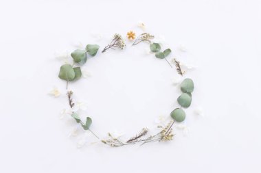 Beyaz arkaplanda çiçek bileşiminin üst görünümü. Düz yatıyordu