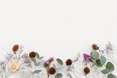 Beyaz arkaplanda çiçek bileşiminin üst görünümü. Düz yatıyordu