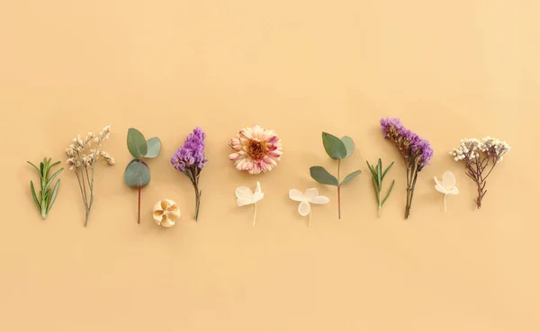 Top View Image Flowers Composition Pastel Yellow Background Flat Lay — Stock Photo, Image