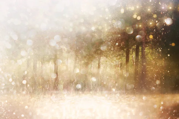 Suddig Abstrakt Foto Ljus Brast Bland Träd Och Glitter Gyllene — Stockfoto