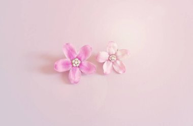 Pastel arkaplan üzerinde pembe çiçek kompozisyonu resmi. Düz yatıyordu. en üstteki görünüm