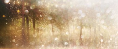 Ağaçlar arasında ışık patlaması ve parlak altın bokeh ışıklarının bulanık fotoğrafı.
