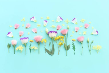 Pastel mavi arkaplan üzerinde pembe, sarı ve mor çiçek kompozisyonu.