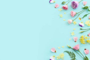Pastel mavi arkaplan üzerinde pembe, sarı ve mor çiçek kompozisyonu.