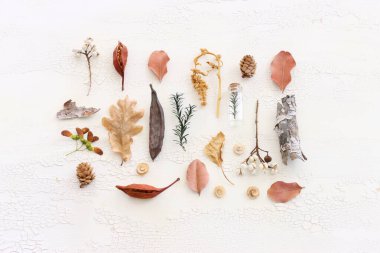 Sonbahar ormanlarının beyaz ahşap zemin üzerindeki doğal bileşiminin üst görüntüsü. Düz yatıyordu.