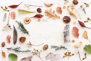 Sonbahar ormanlarının beyaz ahşap zemin üzerindeki doğal bileşiminin üst görüntüsü. Düz yatıyordu.