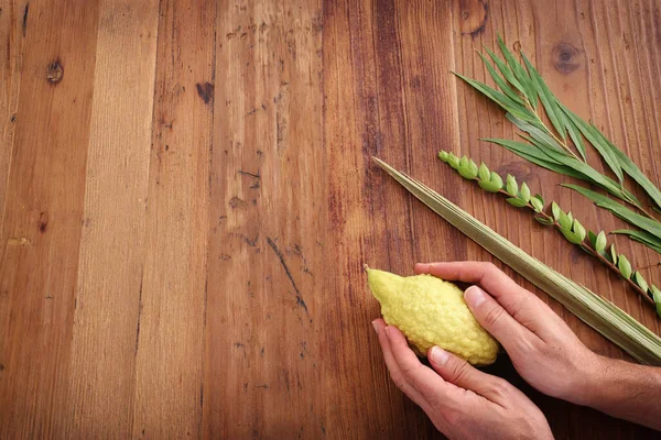 Jewish Festival Sukkot Traditional Symbols Four Species Etrog Citron Lulav — Stock Photo, Image