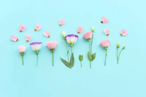Top View Image Pink Purple Flowers Composition Pastel Blue Background — Stock Photo, Image
