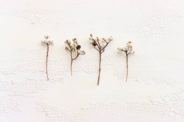 Sonbahar ormanlarının beyaz ahşap zemin üzerindeki doğal bileşiminin üst görüntüsü. Düz yatıyordu. Pankart