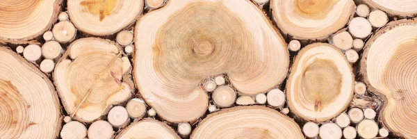 木の幹の質感を持つ木の背景 — ストック写真