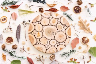 Sonbahar ormanlarının beyaz ahşap zemin üzerindeki doğal bileşiminin üst görüntüsü. Düz yatıyordu.