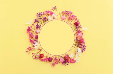 Pastel sarı arkaplan üzerinde pembe ve mor çiçek kompozisyonu üst görünüm .Düz yatıyordu.