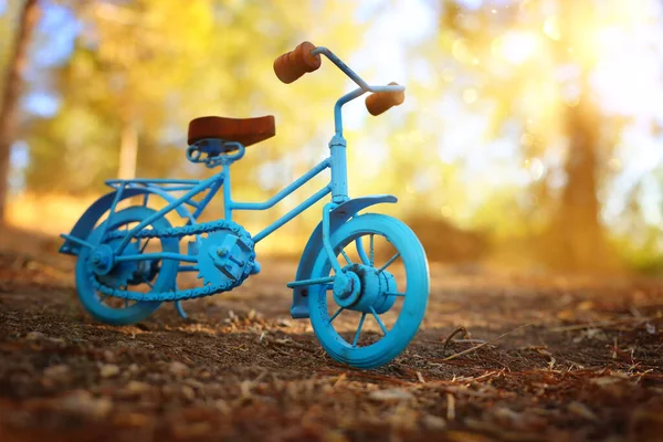 夕日の光で屋外に待っているブルーのビンテージ自転車グッズ — ストック写真