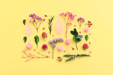 Sarı arkaplan üzerinde pembe, mor ve yeşil çiçek kompozisyonu üst görünüm .Düz yatıyordu