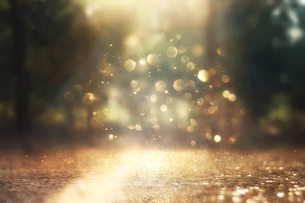 Blurred Abstract Photo Light Burst Lonely Tree Glitter Golden Bokeh — Stock Photo, Image