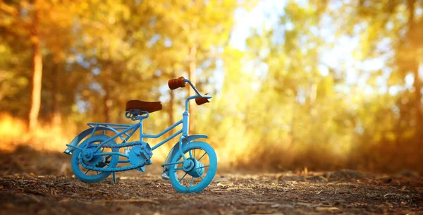 빈티지 자전거 장난감 빛에서 야외에서 — 스톡 사진