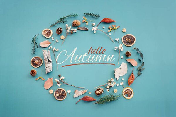 Вид сверху на естественный состав осеннего леса на синем фоне.