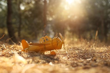 Günbatımında ormandaki klasik uçağın sihirli görüntüsü.