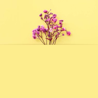 Pastel sarı arkaplan üzerinde pembe ve mor çiçek kompozisyonu üst görünüm .Düz yatıyordu.
