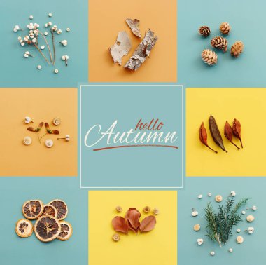 Sonbahar ormanı doğal bileşiminin renkli kolajı. Düz yatıyordu