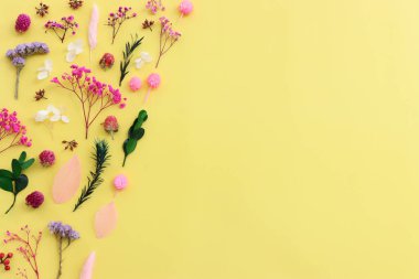 Sarı arkaplan üzerinde pembe, mor ve yeşil çiçek kompozisyonu üst görünüm .Düz yatıyordu