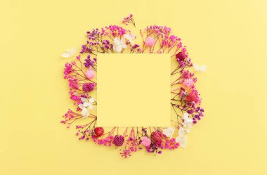 Pastel sarı arkaplan üzerinde pembe ve mor çiçek kompozisyonu üst görünüm .Düz yatıyordu.