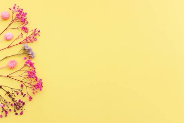 Pastel sarı arkaplan üzerinde pembe ve mor çiçek kompozisyonu üst görünüm .Düz yatıyordu.
