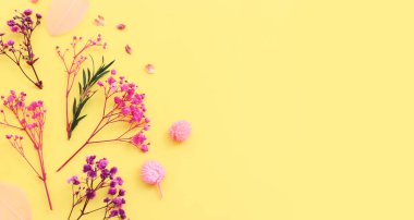 Sarı arkaplan üzerinde pembe, mor ve yeşil çiçek kompozisyonu üst görünüm .Düz yatıyordu