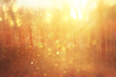 Abstract photo of light burst among trees and glitter bokeh lights. image is blurred and filtered . clipart