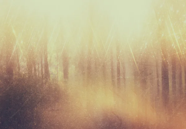Background image of light burst among trees. image is retro filtered instagram style. — Stock Photo, Image