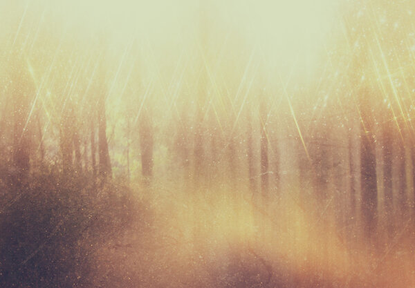 Background image of light burst among trees. image is retro filtered instagram style.