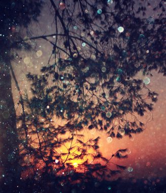 ağaçlar ve glitter bokeh ışıkları arasında ışık patlaması soyut fotoğraf bulanık. görüntü filtre ve dokulu.