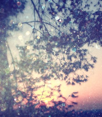 ağaçlar ve glitter bokeh ışıkları arasında ışık patlaması soyut fotoğraf bulanık. görüntü filtre ve dokulu.