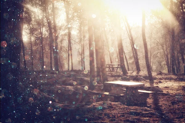 Размытая абстрактная фотография вспыхнувшего света между деревьями и блестящими боке-огнями. отфильтрованное изображение и текстура . — стоковое фото