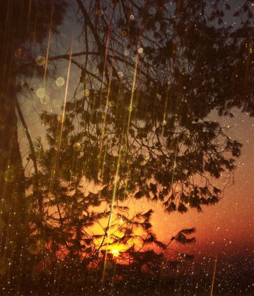Размытая абстрактная фотография вспыхнувшего света между деревьями и блестящими боке-огнями. отфильтрованное изображение и текстура . — стоковое фото